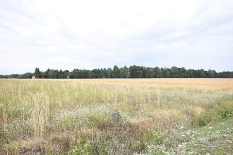 Działka budowlana 8 200 m2