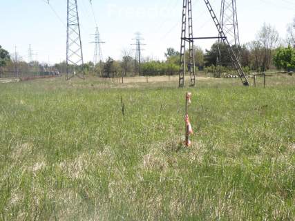Na sprzedaż działka 71/4 o powierzchni 3988 m2