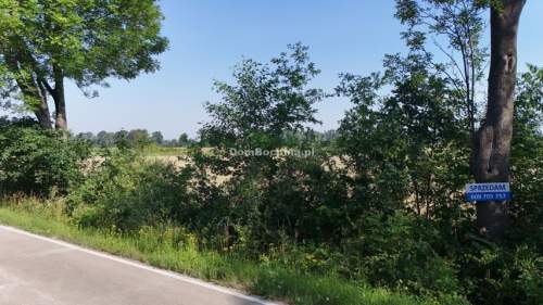 REZERWACJA 13ar Borek działka budowlana