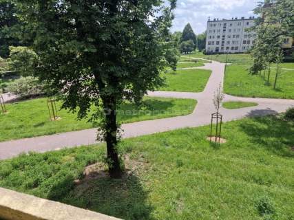Mieszkanie Dąbrowa Kasprzaka 47m2