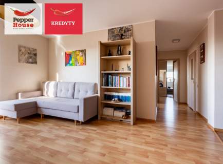 Piękny widok na zatokę i panoramę miasta
