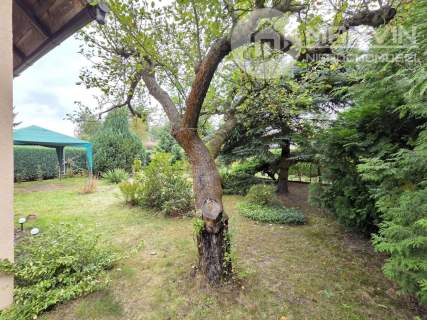 Piękny ROD 300m2 z Domkiem 26m2/5m wys. 