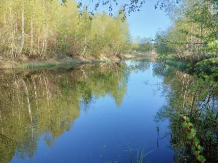 Wyjątkowa działka na skraju natury 2 