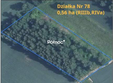Sprzedam urokliwe siedlisko z działkami