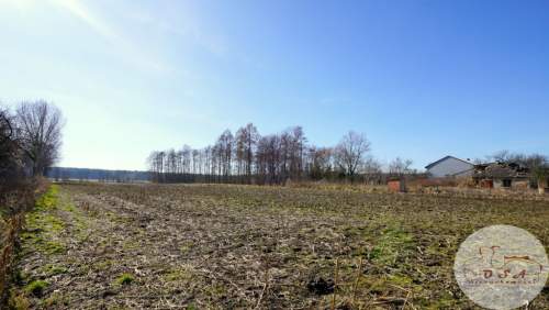 Rolno-budowlana 7200 m Myszakówek Zagórów