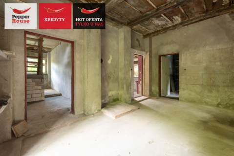 Dom do remontu lub odbudowy, Stegny Elbląg Pasłęk