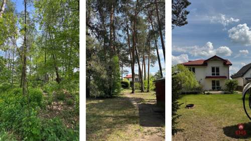 Posiadłość 2500m2 Zadbany Dom z Lasem