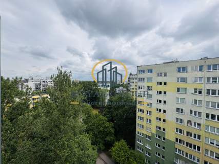 LSM z panoramicznym widokiem