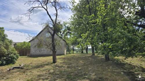 Siedlisko bez sąsiadów 4400 m2 prywatności Stary sad i wę