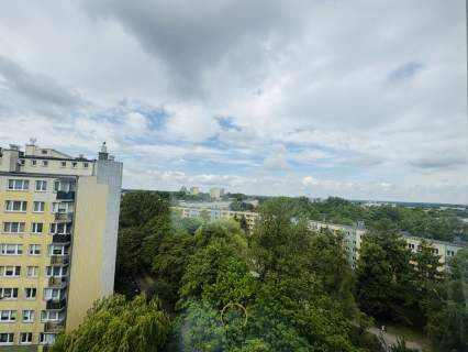 LSM z panoramicznym widokiem