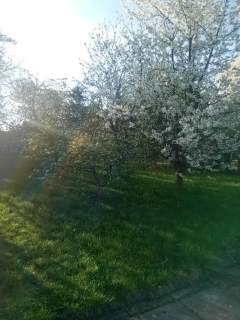 Działka rekreacyjna na sprzedaż, 480 m2, Racibórz