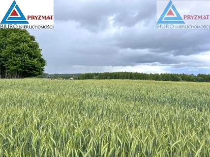 SPRZEDAM DZIAŁKĘ - GADY