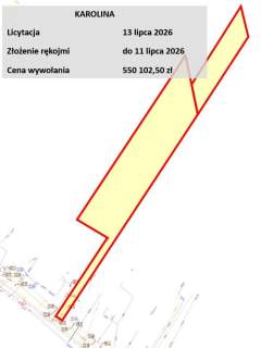 Budowlana i las, Mińsk Mazowiecki, licytacja