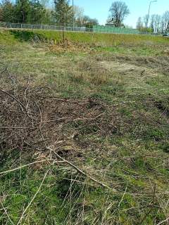 Działka budowlana 10 arów w Jedwabne