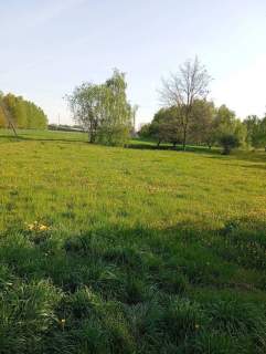 Działka budowlana na sprzedaż, 10982 m2, Piotrków Trybunalski
