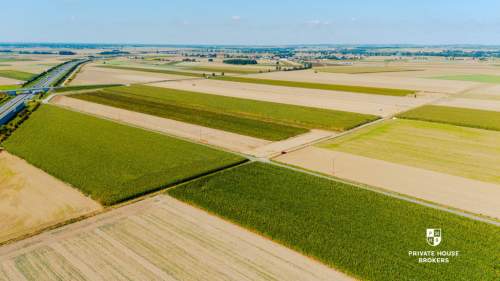Dąbrowa obok Oleśnicy - budowlane 71 ar z MPZP