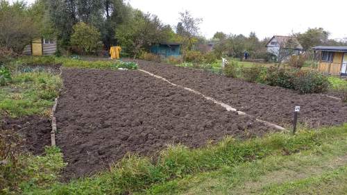 Działka ROD Olszynka Gdańsk, ul. Kacza