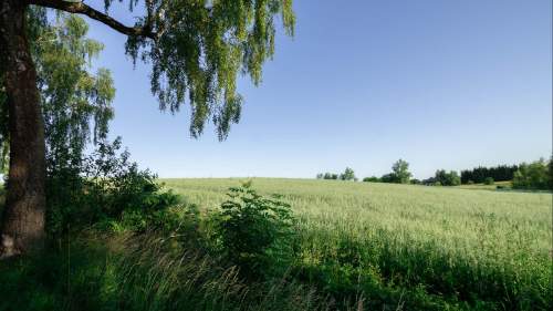 Działka - Łęcze