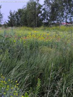 Ursynów, 1,8 ha, PNB na 16 bliźniaków 32 jedn.