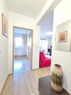 2 pokoje/Od zaraz/Do wprowadzenia/2016r