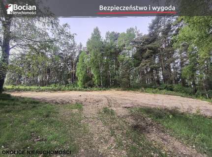 Kompleks działek w otulinie lasu- Dobrzewino