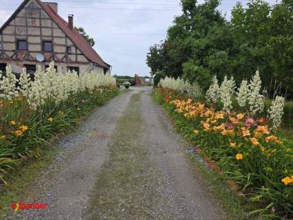 Wyjątkowy dom duszą na dużej działce 5599m2/Igłowice koło Namys