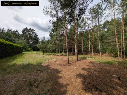 Działki nad jeziorem Spokój, natura i własność