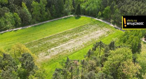 DZIAŁKA ROLNA ŚWIDNO GM. KRASOCIN 3992 M2