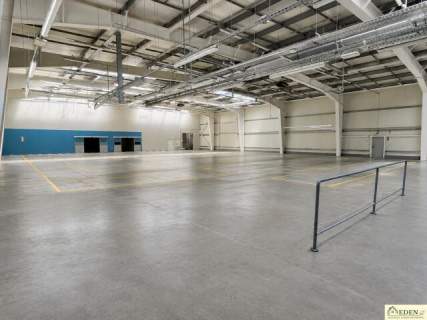 Do wynajęcia Hala z pomieszczeniami biurowymi 1600m2 400m2 w...