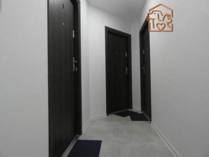 Wiejska 68, Nowe Miasto, kawalerka pet-friendly