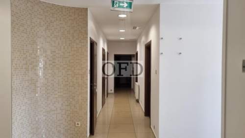Lokal 252,58 m2 Krzyki, okolice ul. Szybkiej