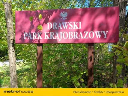 Dom w lesie blisko jeziora w Parku Krajobrazowym