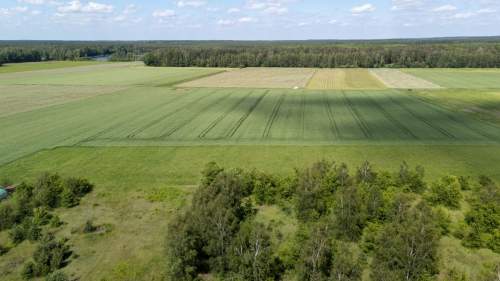 Działka budowlana 1029m2 Mochała