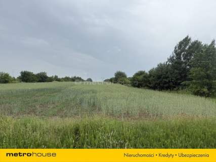 2,17 HA MPZP DK12 S8 LOGISTYKA PRODUKCJA