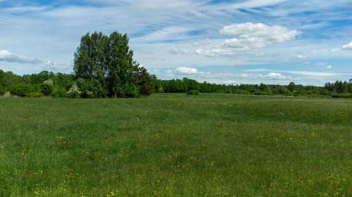 Działka budowlana na sprzedaż, 10000 m2, Kotkowo