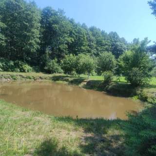 Siedlisko - dom, staw i budynki gospodarcze