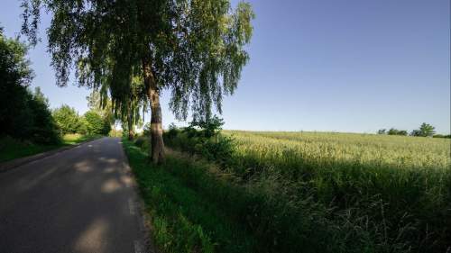 Działka - Łęcze