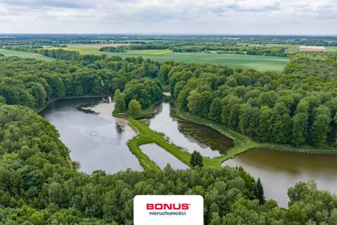 Prywatny kompleks wodny w środku lasu
