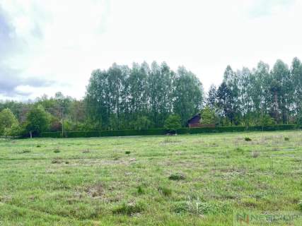 Działka budowlana Teodorów, gm. Skórzec 1390m2
