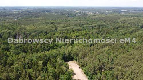 Działka na sprzedaż, 10240 m2, Niewodnica Kościelna