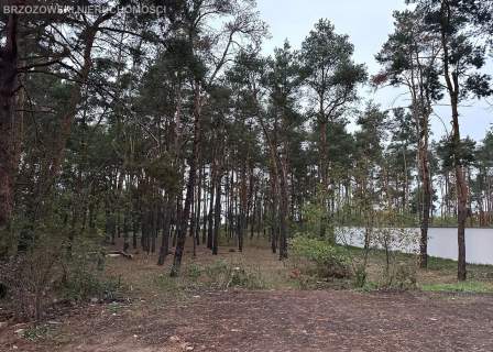 Marki, 1126 m2, MPZP wolnostojąca