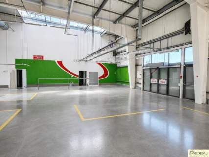 Do wynajęcia Hala z pomieszczeniami biurowymi 1600m2 400m2 w...