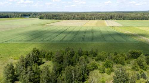 Działka budowlana 1032m2 Mochała