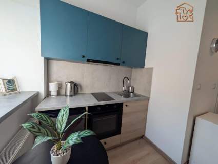 Wróblewskiego 54 - studio, pet friendly
