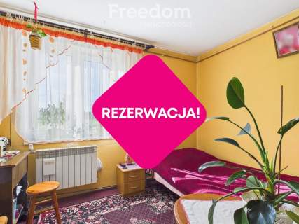 Sielskie siedlisko bez sąsiadów
