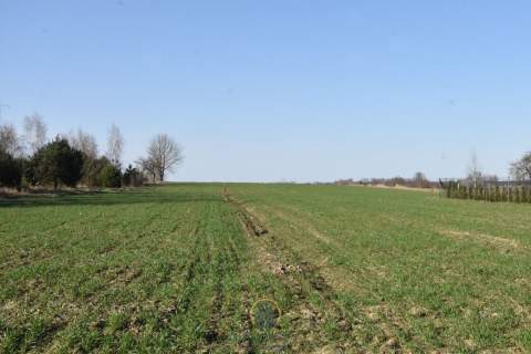 Działka przy Jeziorze Kunów