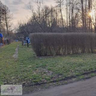 Działka 1000m2 Prawda gmina Rzgów pełna własność