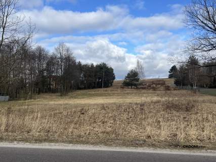 Wyjątkowa działka na sprzedaż   1 ha w Rytwianach