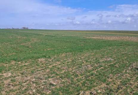 Działki budowlane o pow. od 733m2 do 1001m2, Kalisz