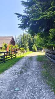 Bajeczna okolica - las, widok, natura